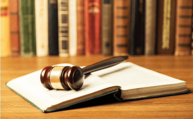 IESS and Enforcement Actions: The Constitutional Court Shields Shareholders and Bans Administrative Travel Restrictions