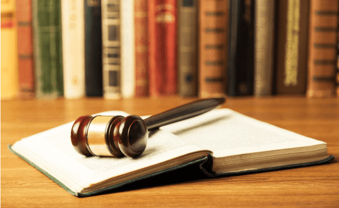 IESS and Enforcement Actions: The Constitutional Court Shields Shareholders and Bans Administrative Travel Restrictions